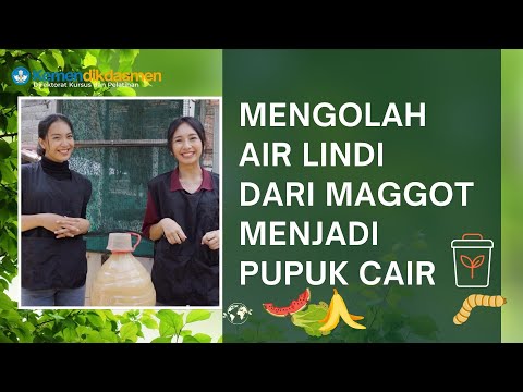 Processing Maggot Leachate into Liquid Fertilizer: An Environmentally Friendly Solution