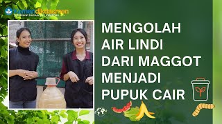 Menah Air Lindi Dari Maggot Menjadi Pupuk Cair, Solusi Ramah Lingkungan