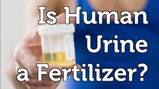 Can Human Urine be used as a Fertilizer in your Organic Garden