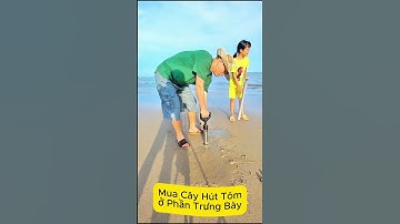 BÃI ĐỒI DƯƠNG VŨNG TÀU CÓ NHIỀU TÔM TÍCH KHÔNG?