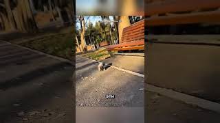 Ждёт его каждый день, пока...😯