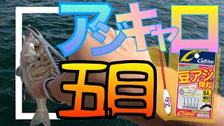 ティクトのMキャロで風の日でもライトゲーム！TICT【M-CARO】アジングとキャロイソメ