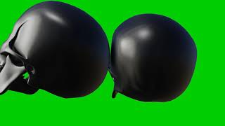 Skull On Green Screen