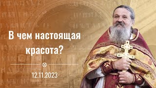 Воскресная Проповедь О. Андрея Лемешонка 12 Ноября 2023 Г.