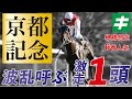 京都記念 2022 【予想】夢を掴むための「キングのキーワード」とは！？波乱を呼ぶ激走馬１頭を全力で応援！