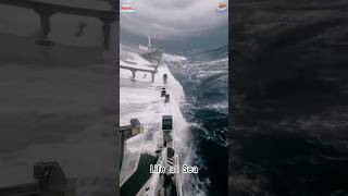 Dangerous Sea Moments 🛳🌊 #sea #ocean #ship #storm #danger #sealife