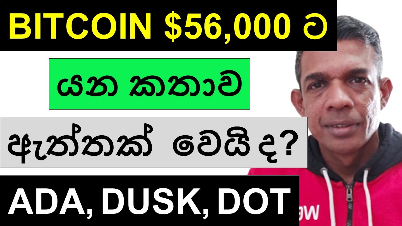 BITCOIN $56,000 ට යන කතාව ඇත්තක් වෙයි ද? | ADA, DUSK, XRP, PENDLE, AND DOT  | BITCOIN