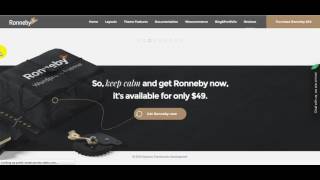 Ronneby – High Performance WordPress Theme