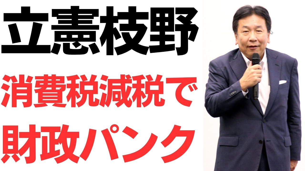 枝野幸男氏の消費税減税発言を扱う動画のサムネイル
