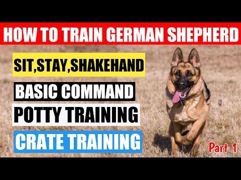 वीडियो: जर्मन पाठ कैसे पढ़ाएं