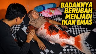 MANCING DAPAT IKAN EMAS BERUJUNG MALAPETAKA