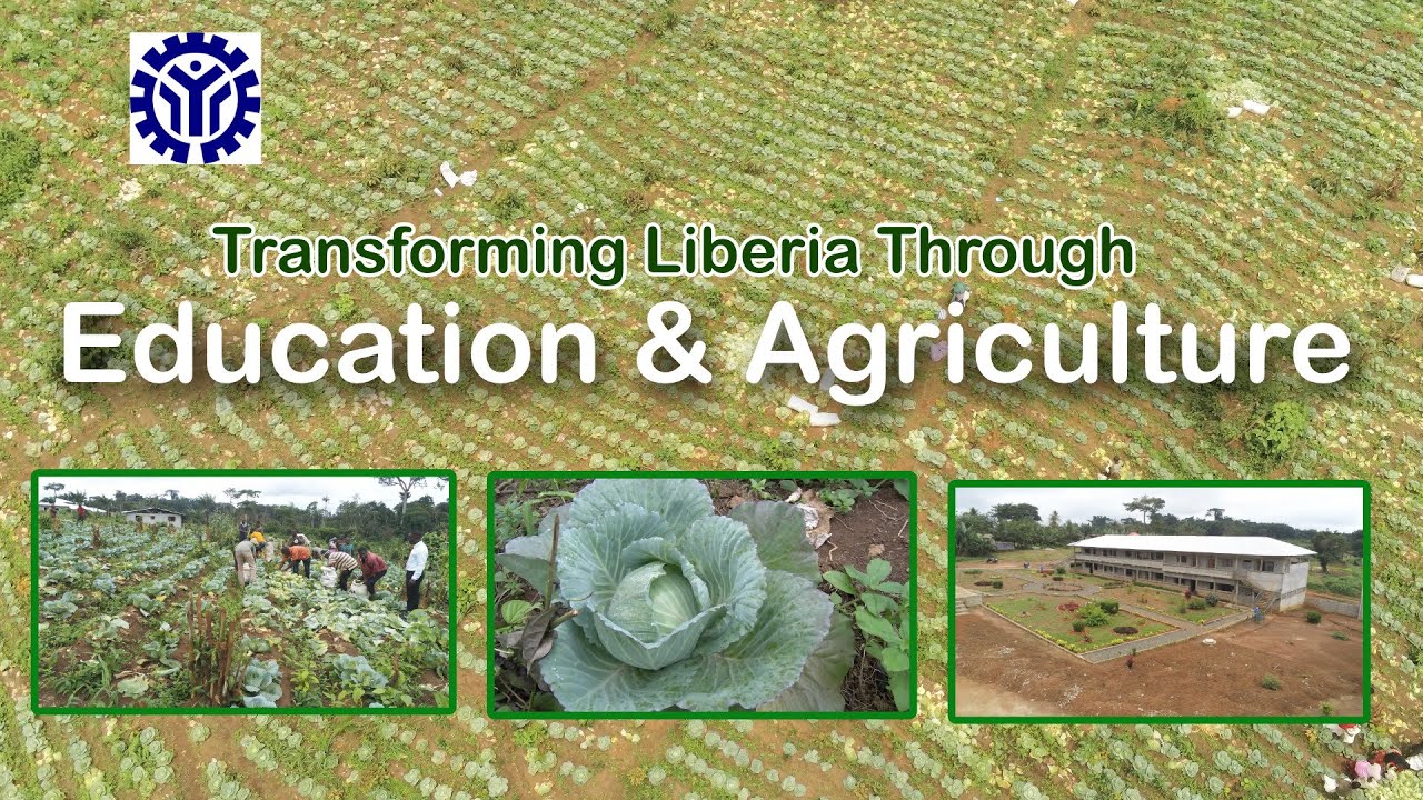 Transforming Liberia Through Education and Agriculture