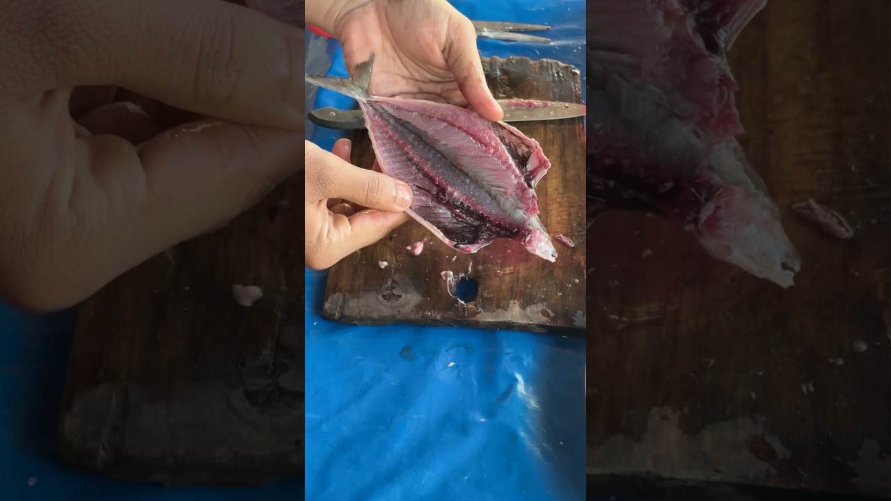 Butterfly fish cutting mackerel Bangda 