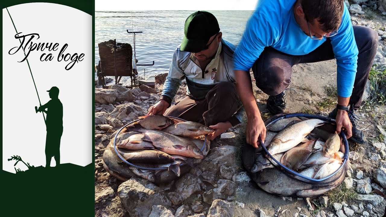 Priče sa vode ep. 61 01.12.2020. Dan krupnih deverika, Dunav kod Bezdana III deo