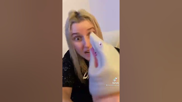 Tiburon salva a pez tiktok manolito