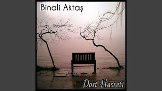 Gitti Boşa