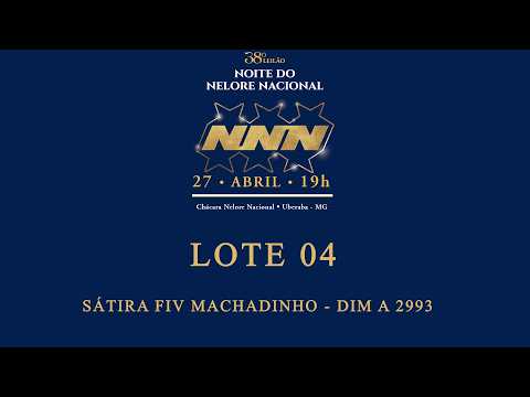 LOTE 04    SÁTIRA FIV MACHADINHO   DIM A 2993