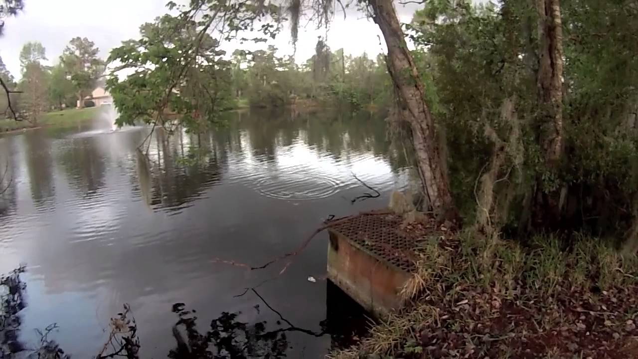 bass fishing at night Florida Bass Team Fishing Fails of 2013