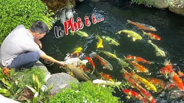 AMAZING!! Vườn + Hồ cá Koi xịn - Vinhome Riverside | Triệu Điền