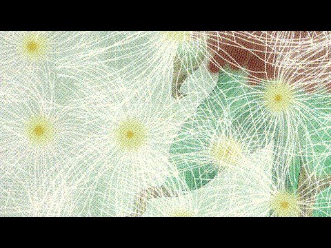 Feng Suave - Unweaving the Rainbow Forever (Official Audio)