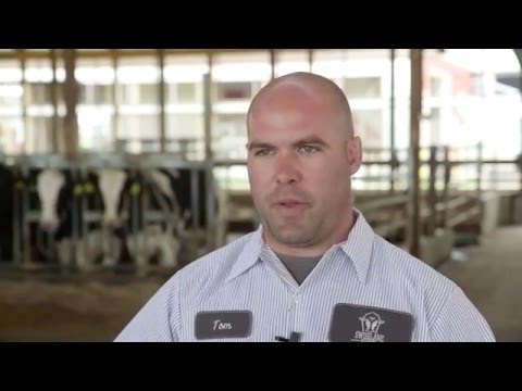 Lely Dairy XL - Swisslane Farm (EN)