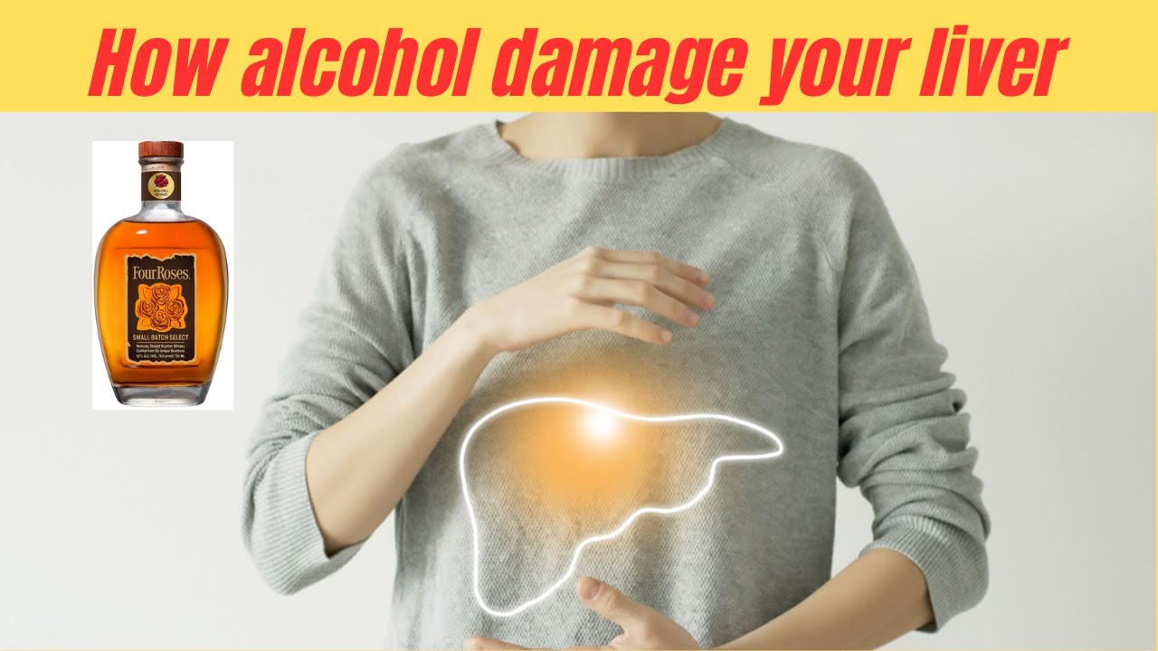 How alcohol affects liver Alcohol affects Urdu/Hindi Nutritionist
