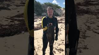 Big Grouper [Black] Spearfishing Bahamas Long Island