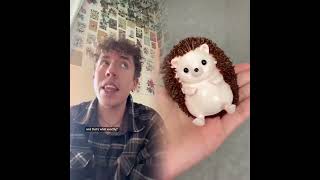 As Far As Your Concerned, All We Did Was Watch A Movie And Go To Bed