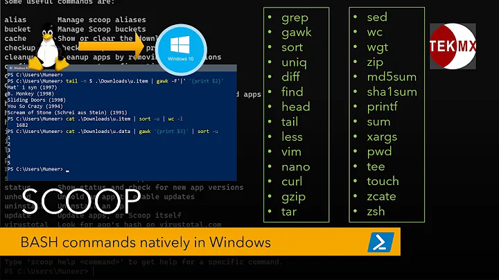 Add popular Linux tools & BASH commands into Windows Powershell | Installing & Using with Scoop