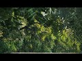 Capcut Rain 4k edit
