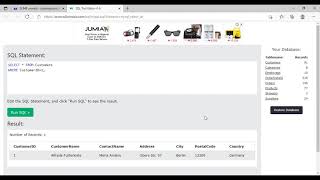 INTRODUCTION TO SQL AND DATABASE AUDITING