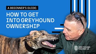 How to Get Into Greyhound Ownership: A Beginner’s Guide | GRUK