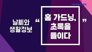 [날씨]  홈 가드닝, 초록을 들이다/2025.06.17.KWEATHER