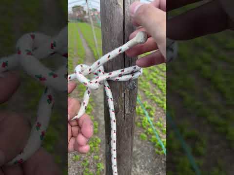 Very Useful Knot