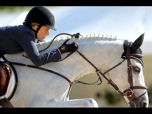 esportes equestres, hipismo, hipismo, cavalo com jóquei saltando