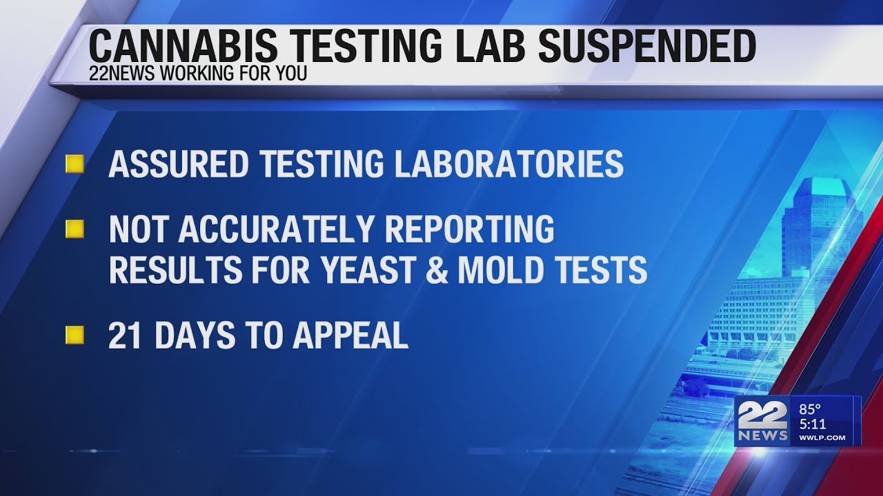 Cannabis regulators order testing lab to suspend operations