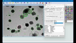 Performing Blob Analysis in a Machine Vision Application