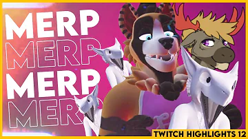 MERP MERP MERP | Twitch Highlights 12