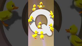 Quack starts with Q 🦆