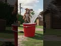The Puppy’s Skateboard Flight#ViralShort #FunnyAnimation #PixarStyle #CuteAnimals #SkateboardFail 🐶🛹