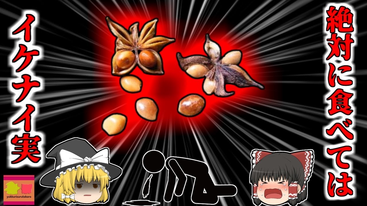 【1990年】自然観察イベントで振舞われたパンケーキ 実は中に神経毒を持つ植物が入った