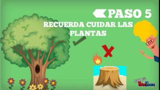 cuidando el medio ambiente