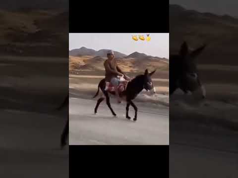 يا شوفير المرسيدس
