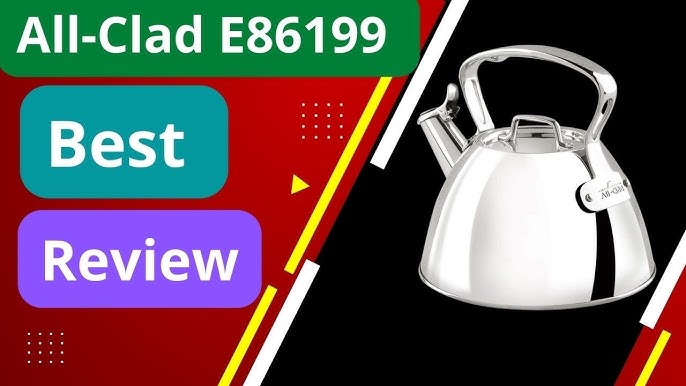 All Clad 2 Quart Stainless Steel Tea Kettle — KitchenKapers