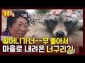 할머니가 너~~무 좋았던 야생 너구리.. 할머니 따라 산에서 내려와 산다?! | KBS 주주클럽 070603 방송 Mp3 Song