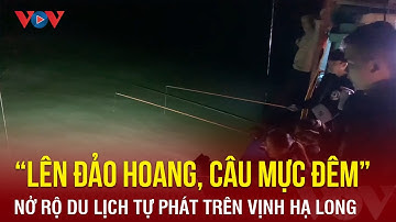 Nở rộ du lịch tự phát “lên đảo hoang, câu mực đêm” trên vịnh Hạ Long | Báo Điện tử VOV