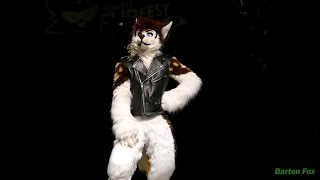 Midwest FurFest 2016 - Dance Competition - Dexter