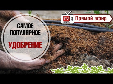 Самое популярное удобрение - Навоз. Как и где его применять? советы дачникам