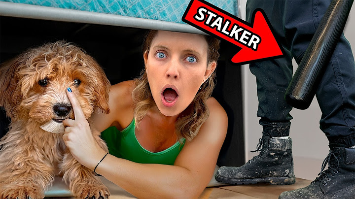 STALKER Tries To STEAL My DOG!