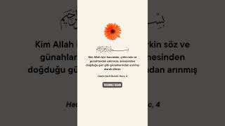 Kim Allah Için Hacceder, Çirkin Söz Ve Günahlardan Sakınırsa, Annesinden Doğduğu Gün Gibi...